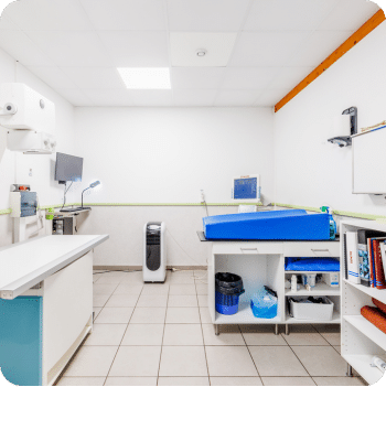 Vous êtes en salle de radiologie à la clinique vétérinaire des Dunes à Soulac-sur-Mer